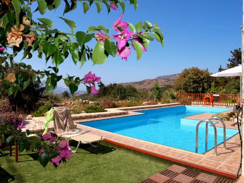 Amaltheia -pool flowers1